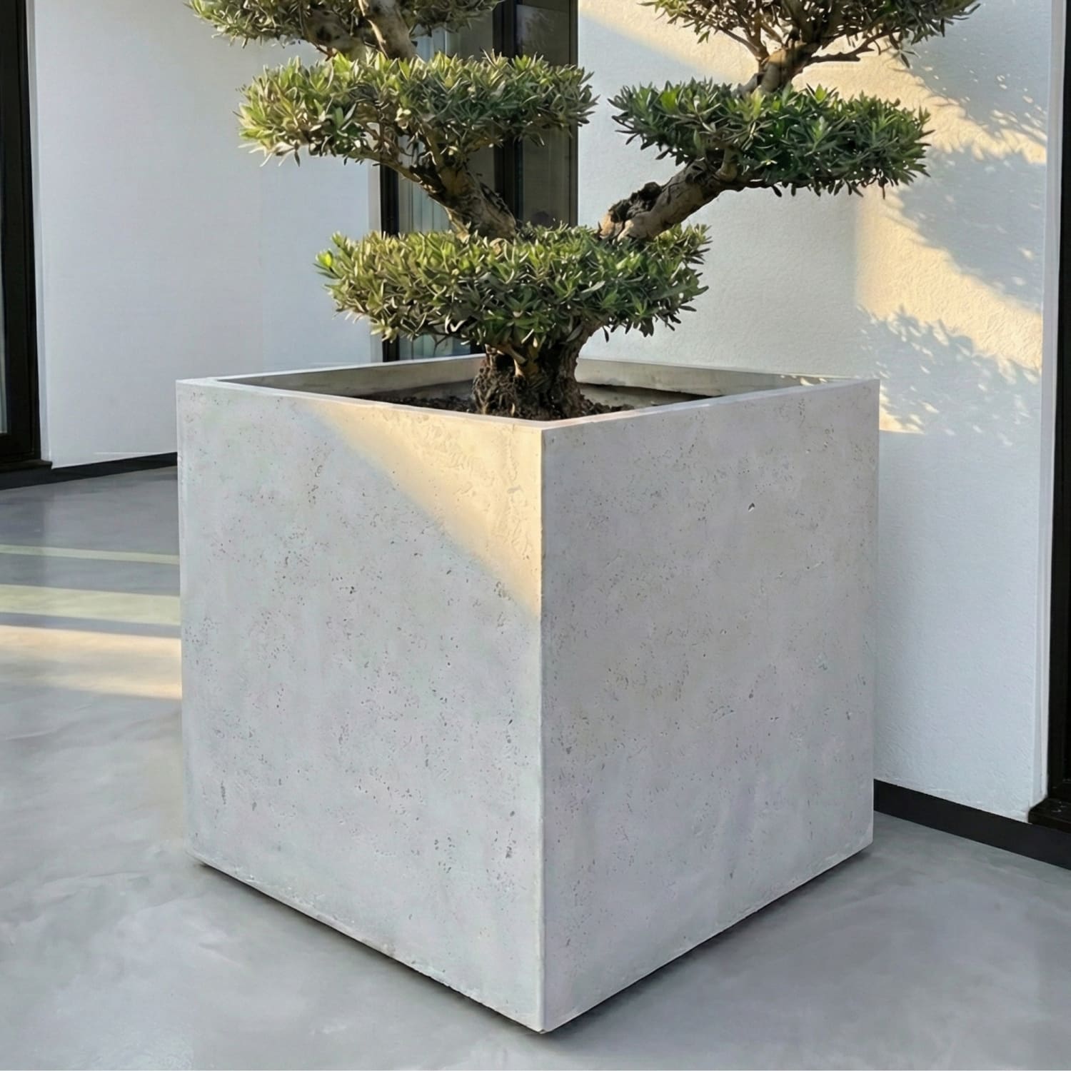 The Cubrosa Square Planter — White Mist Concrete, 100cm XXL